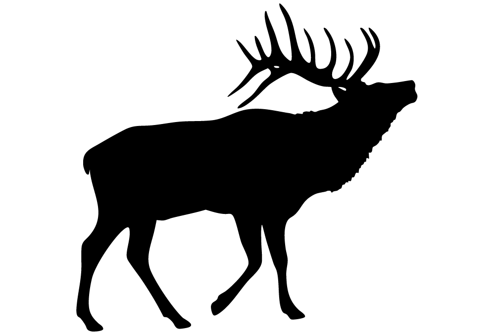 Elk
